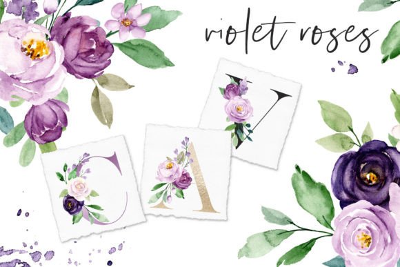 Download Watercolor Violet Flowers Roses - Rose Collection