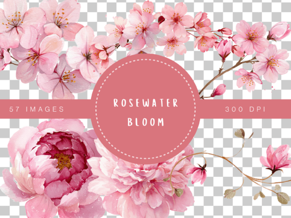 Download Rosewater Bloom Watercolor Floral Clipar - Rose Collection