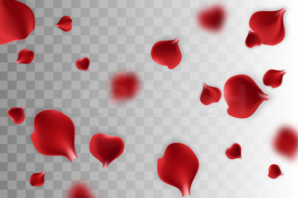 Download Falling Rose Petals on Transparent Back - Rose Collection